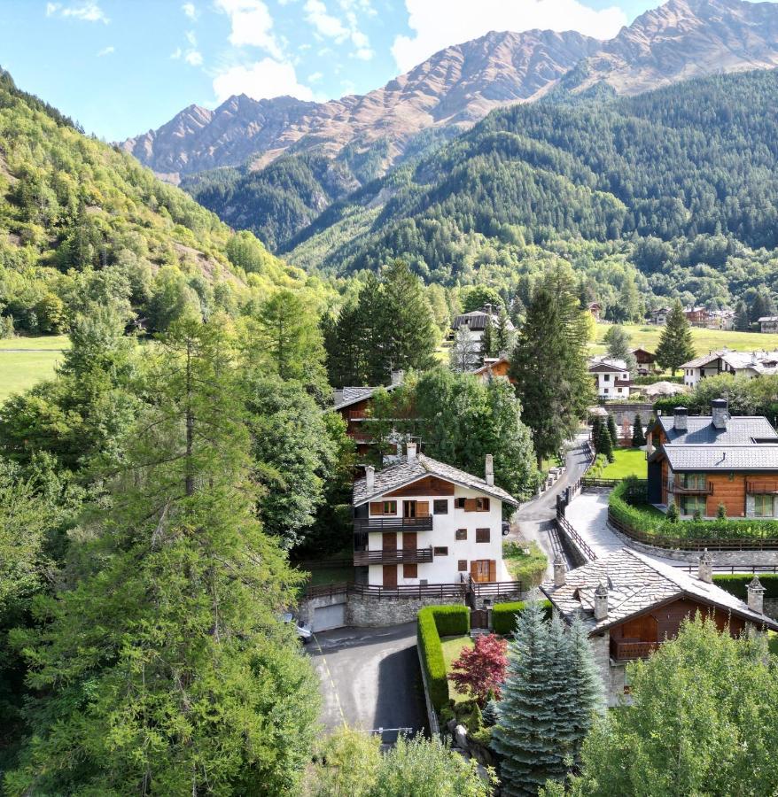 Apartment Accogliente In Mansarda *